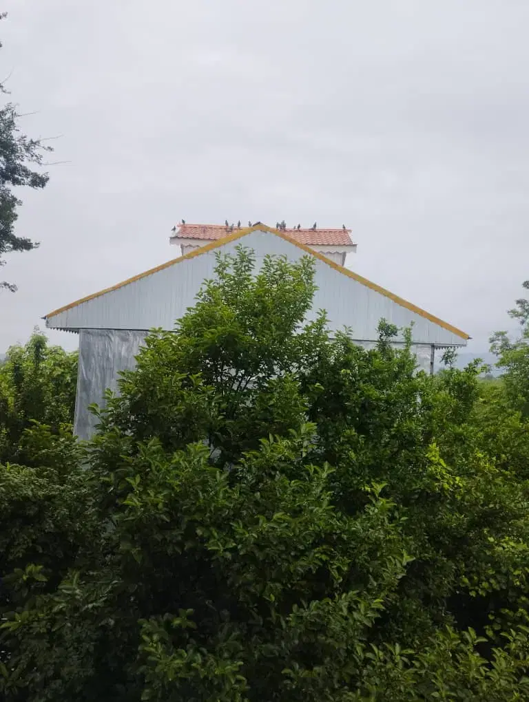 تصویر املاک 66556