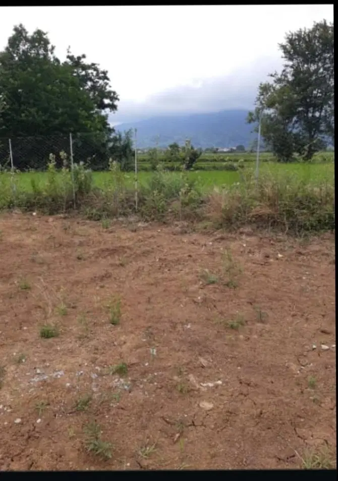 تصویر املاک 83475