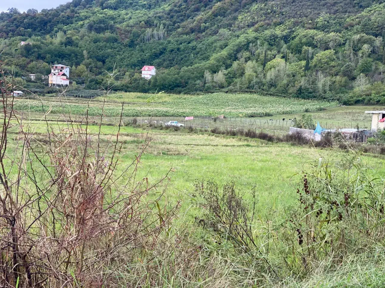 تصویر املاک 31396