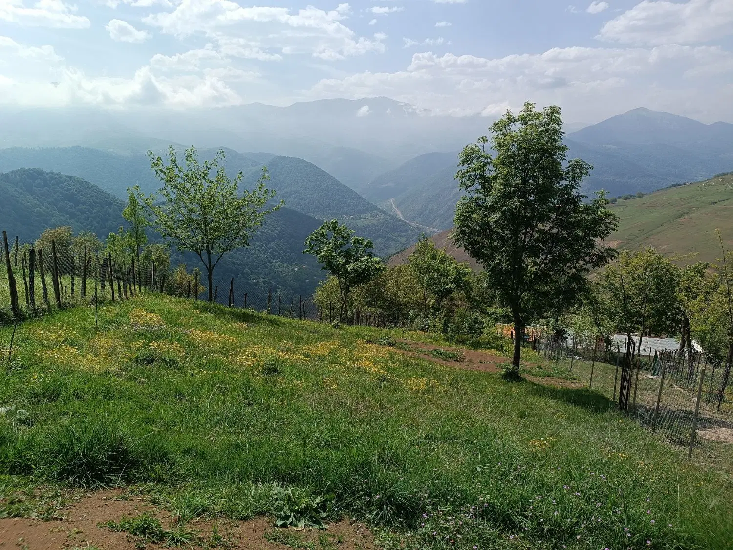 تصویر املاک 81083