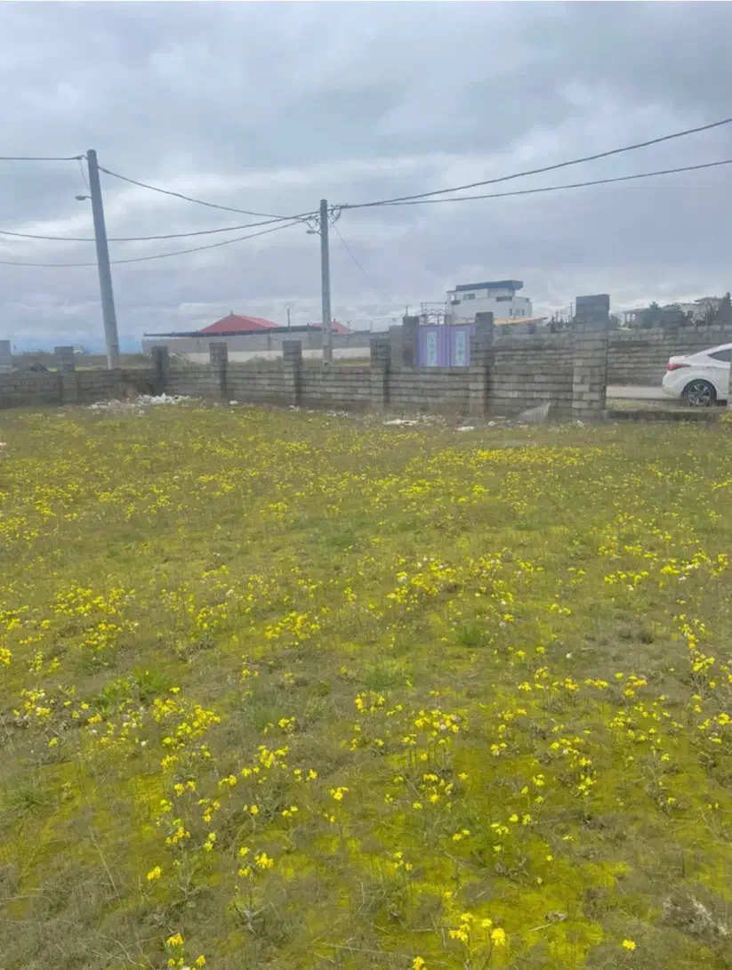 تصویر املاک 38135