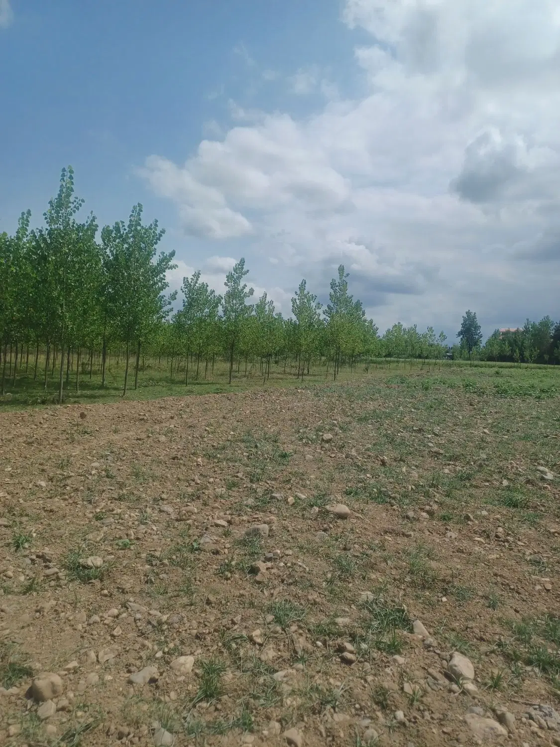 تصویر املاک 94433