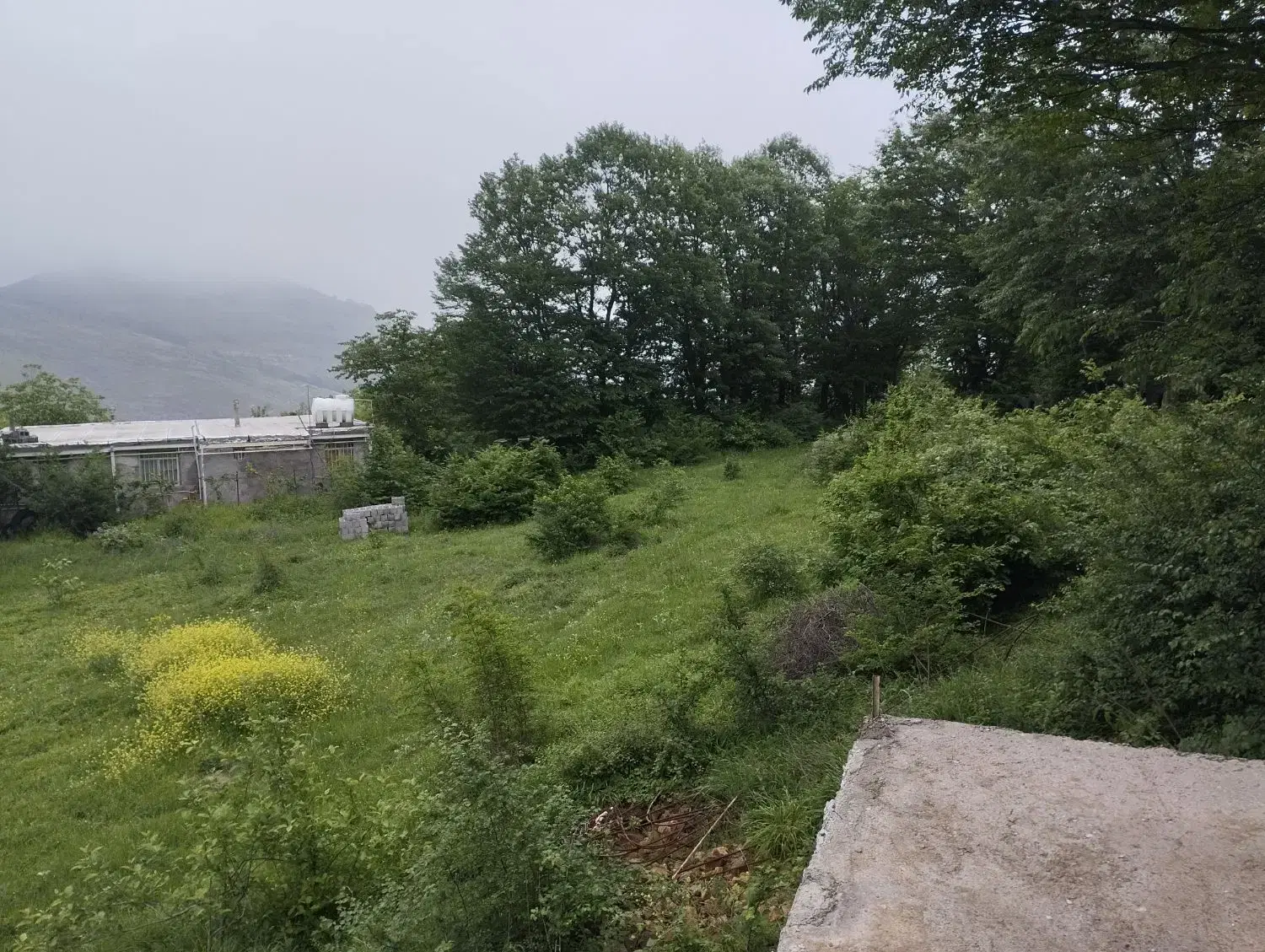 تصویر املاک 66133