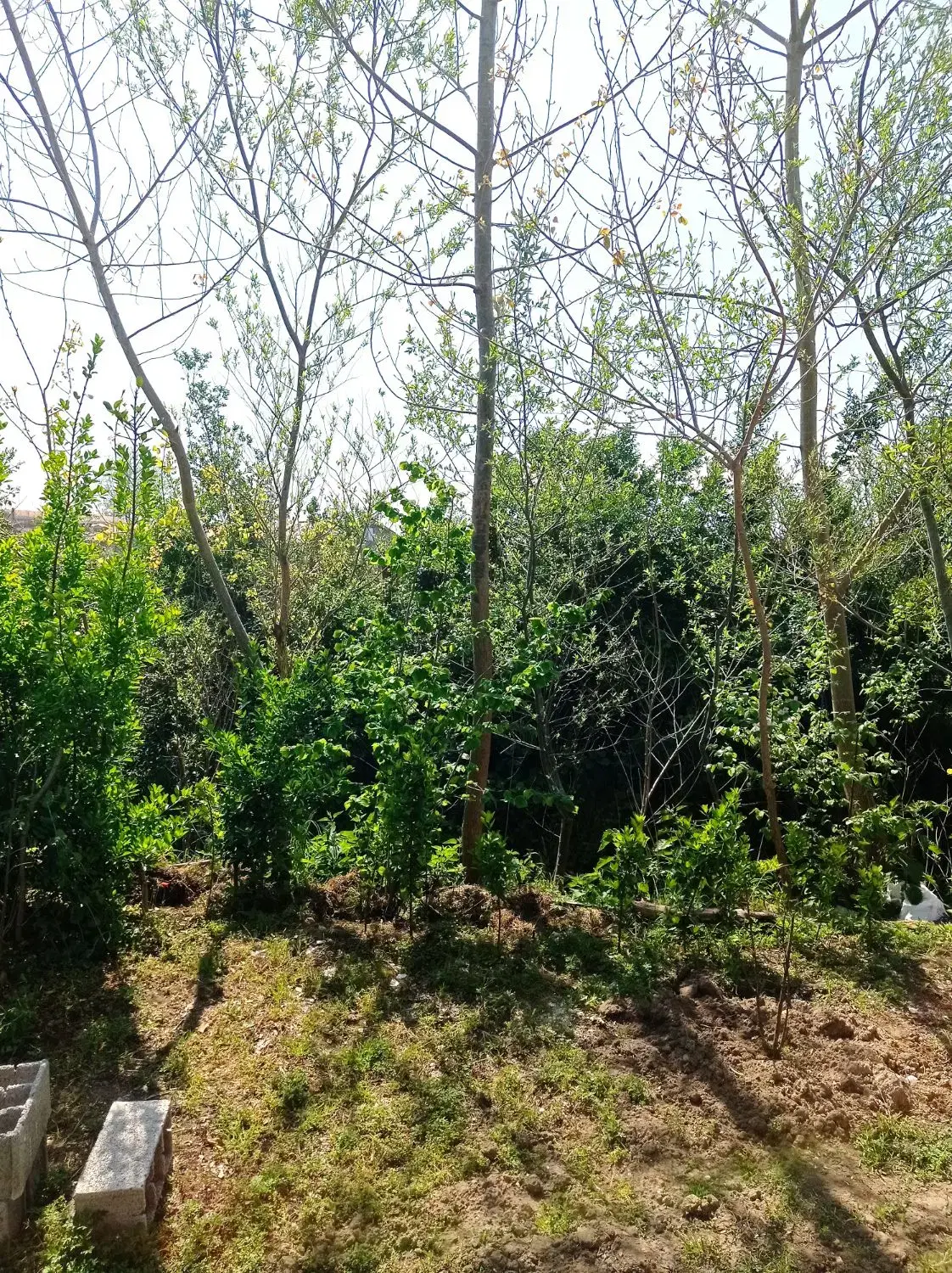 تصویر املاک 70984