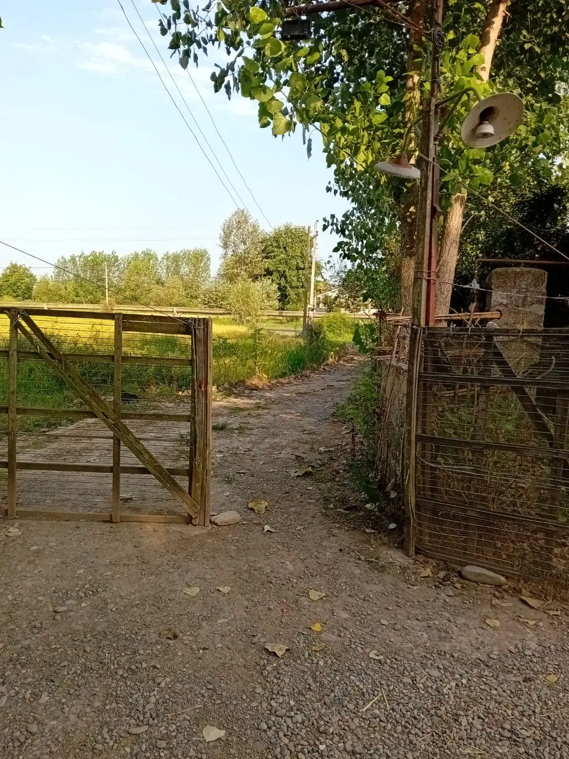تصویر املاک 120556