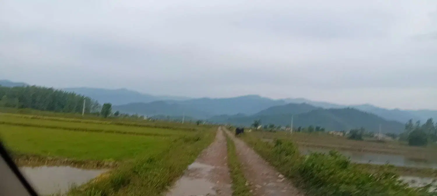 تصویر املاک 53911