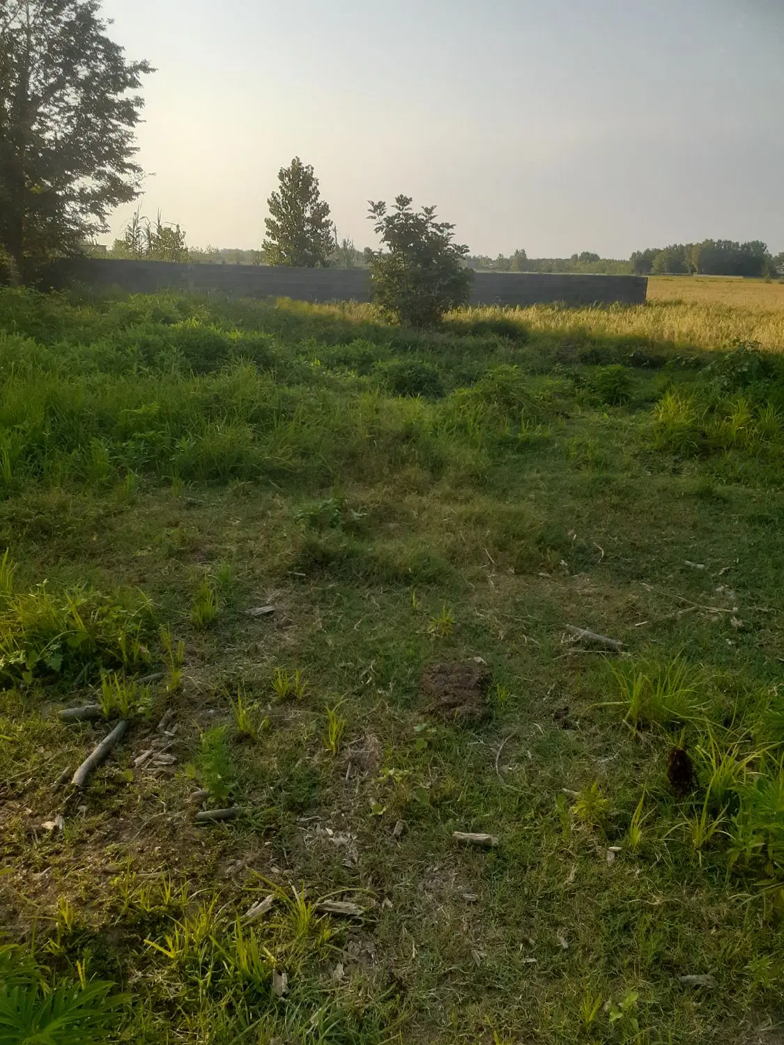 تصویر املاک 101623
