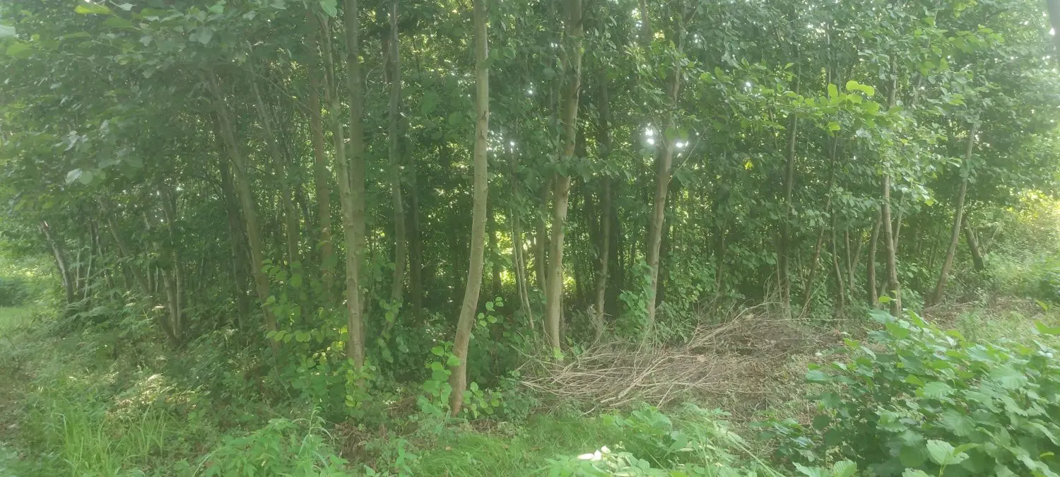 تصویر املاک 101001