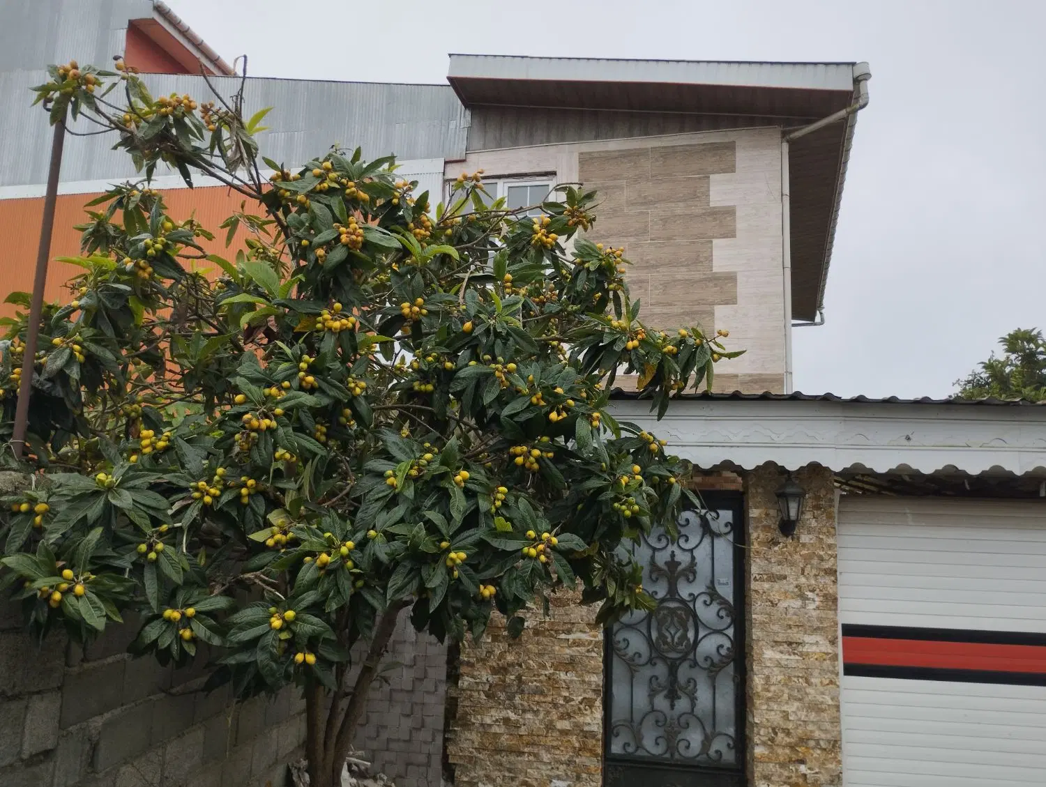 تصویر املاک 122232