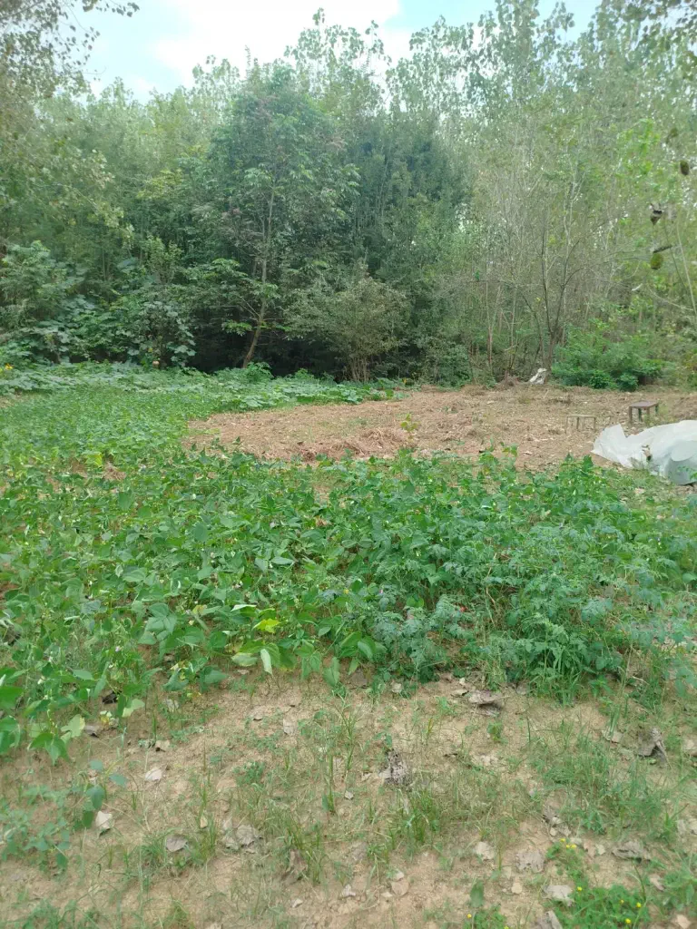 تصویر املاک 140064