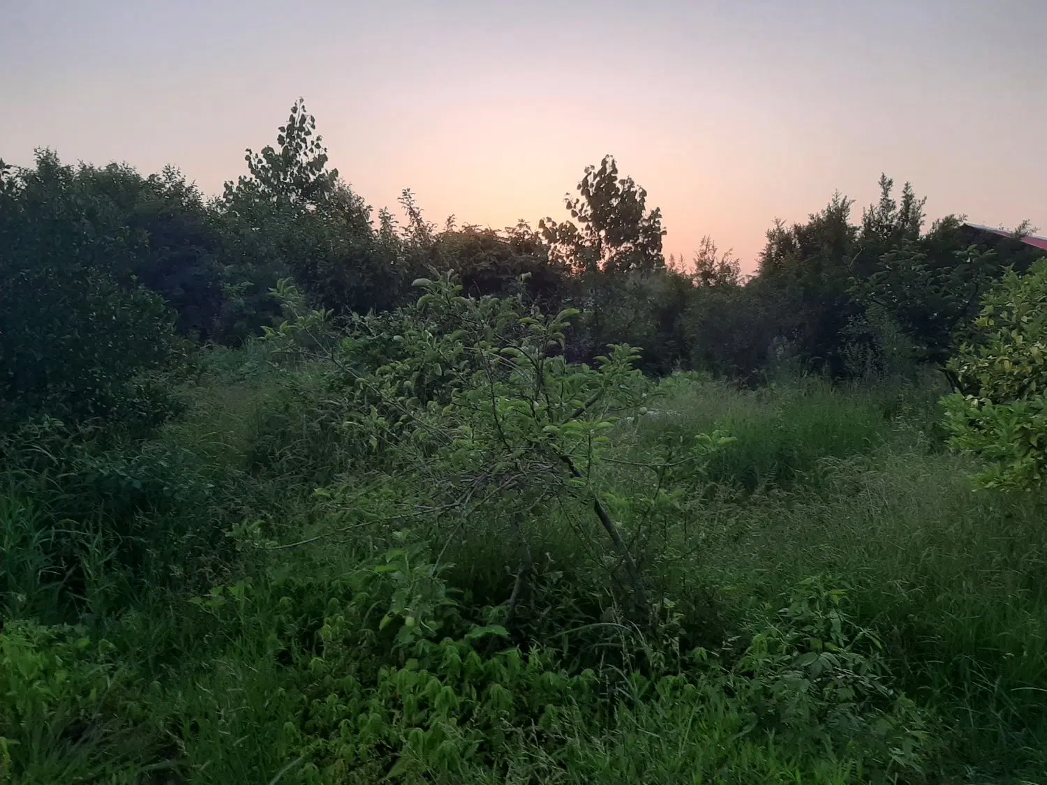 تصویر املاک 98692