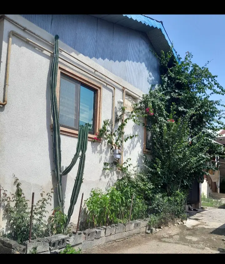 تصویر املاک 122804