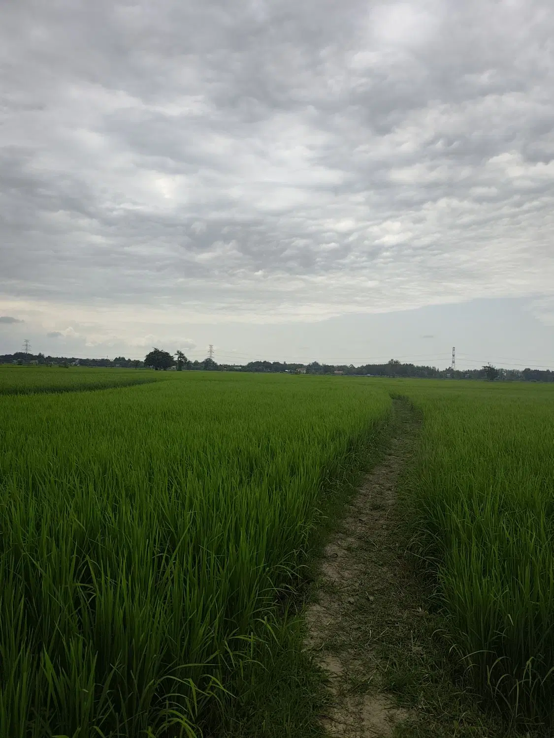 تصویر املاک 73707