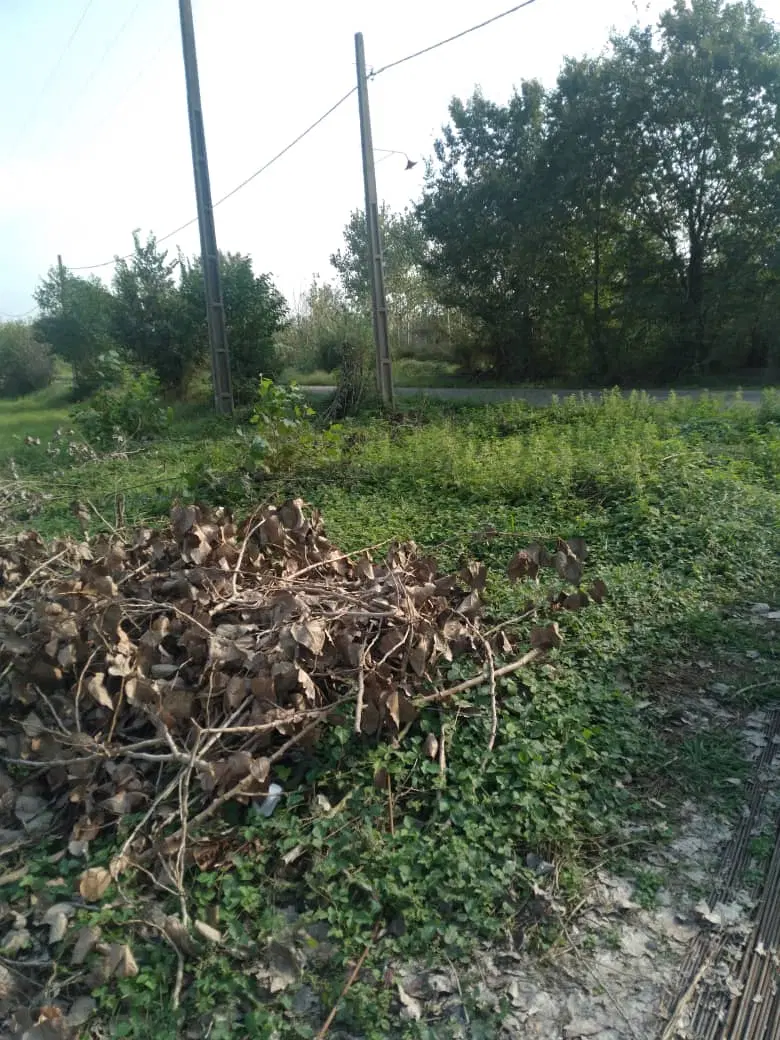 تصویر املاک 115019