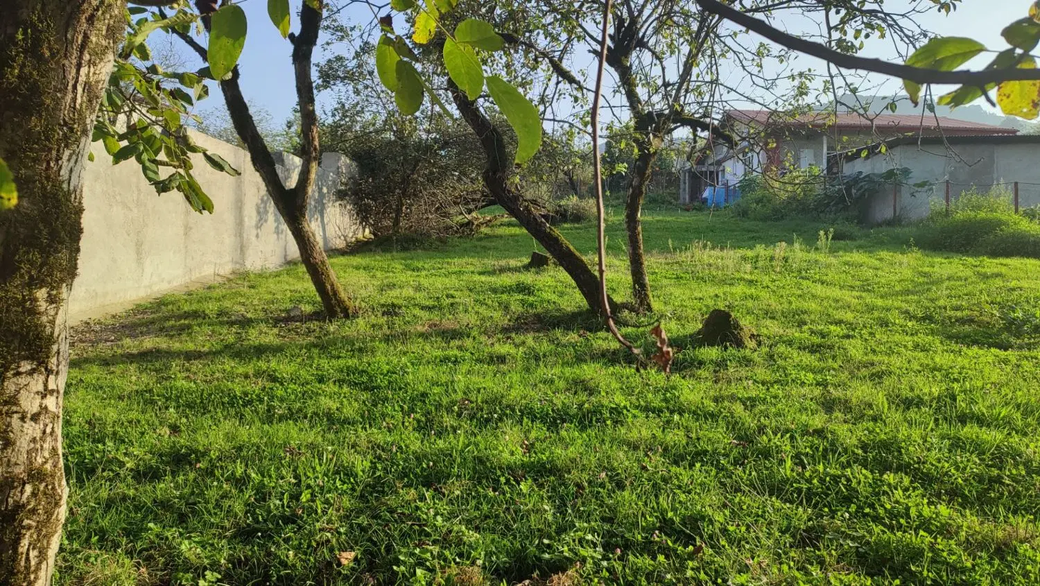 تصویر املاک 73232