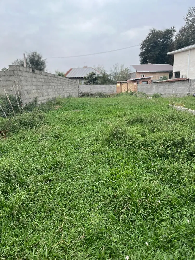 تصویر املاک 85201