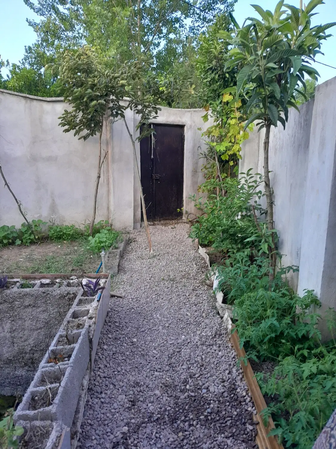 تصویر املاک 67618
