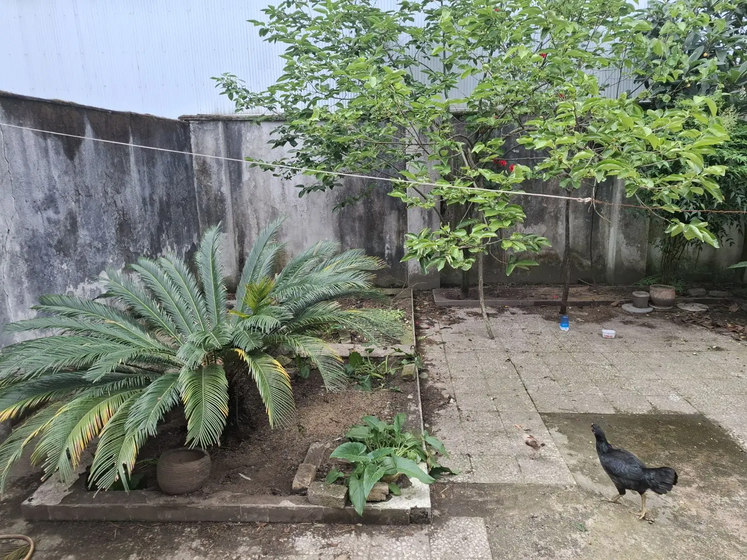 تصویر املاک 43328