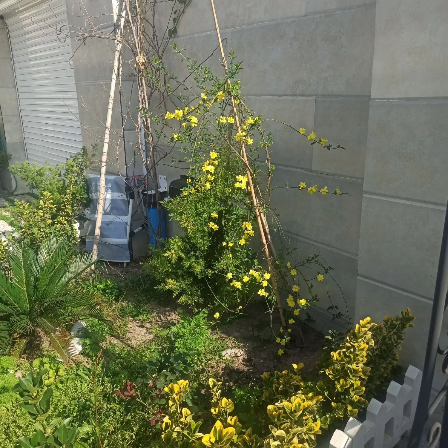 تصویر املاک 62984