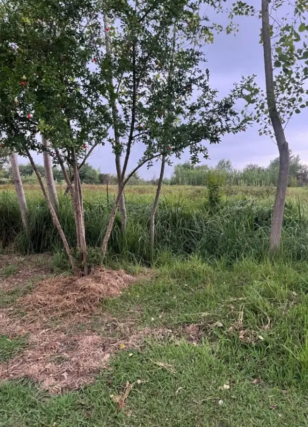 تصویر املاک 100663