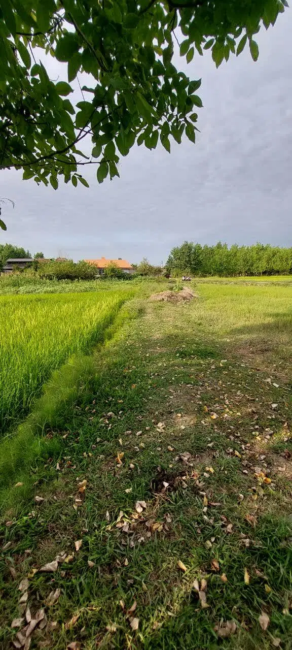 تصویر املاک 91858