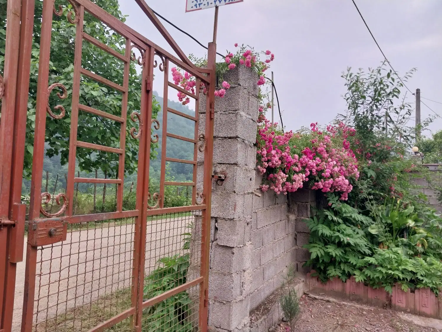 تصویر املاک 62647