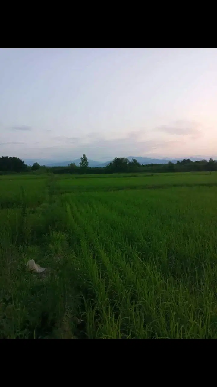 تصویر املاک 98274