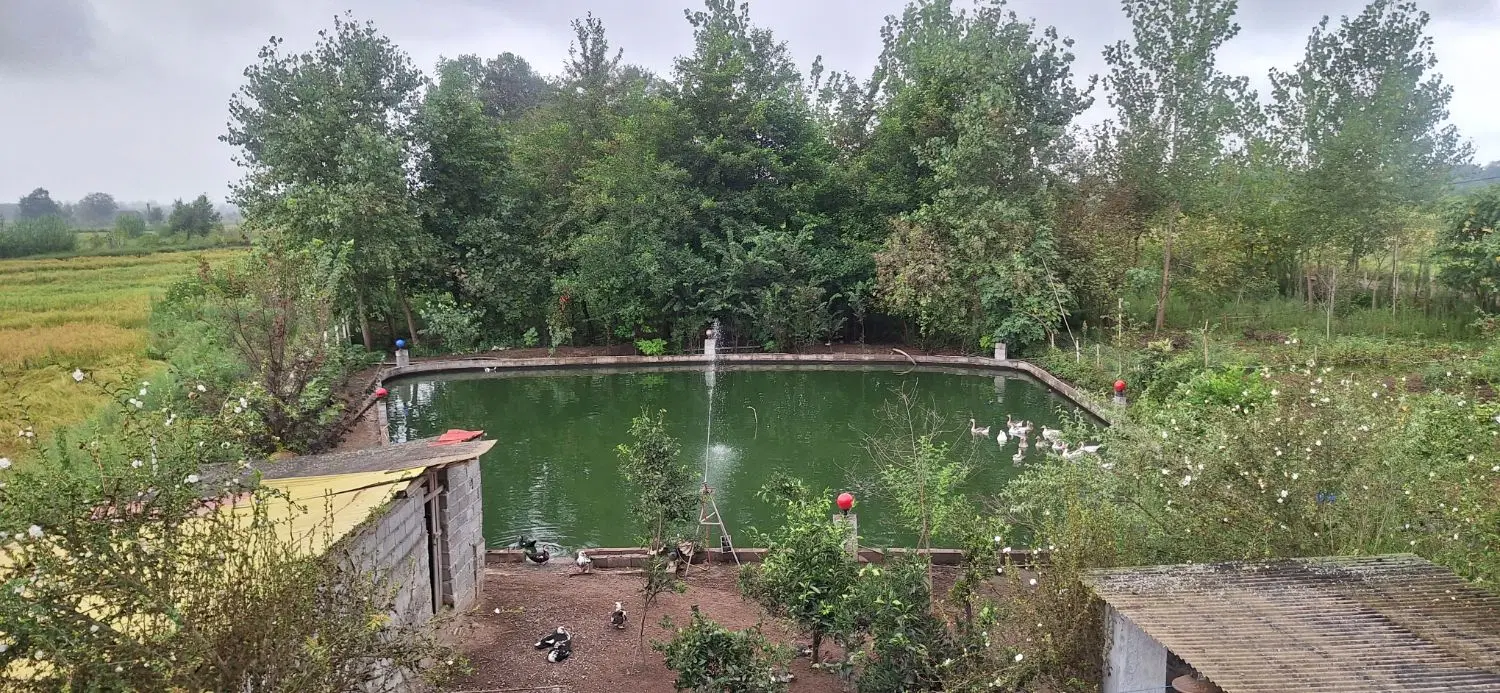 تصویر املاک 104962