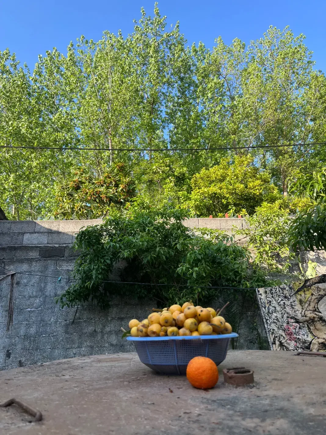 تصویر املاک 41848