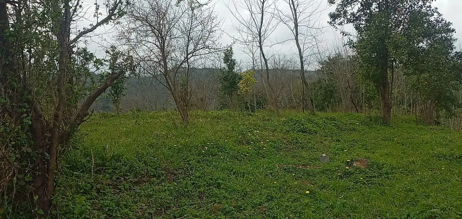 تصویر املاک 72795
