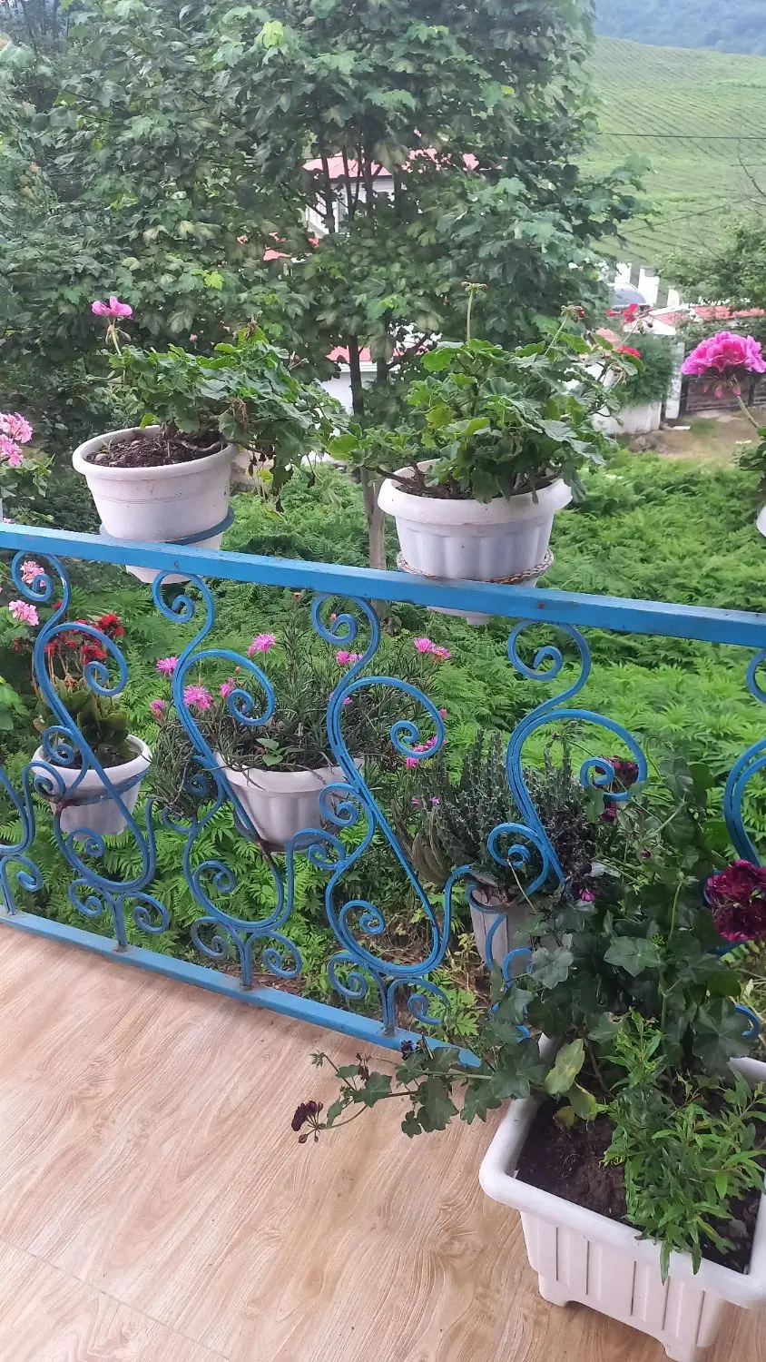تصویر املاک 108959