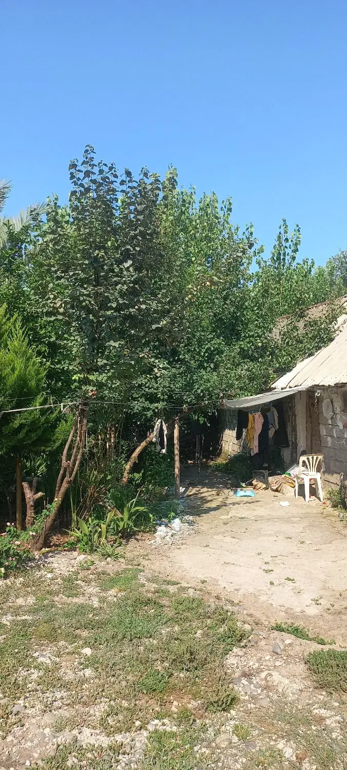 تصویر املاک 88382