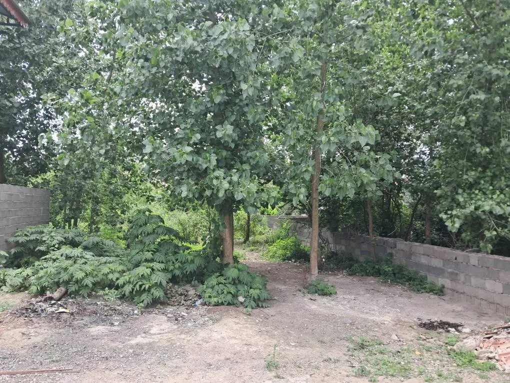 تصویر املاک 63870