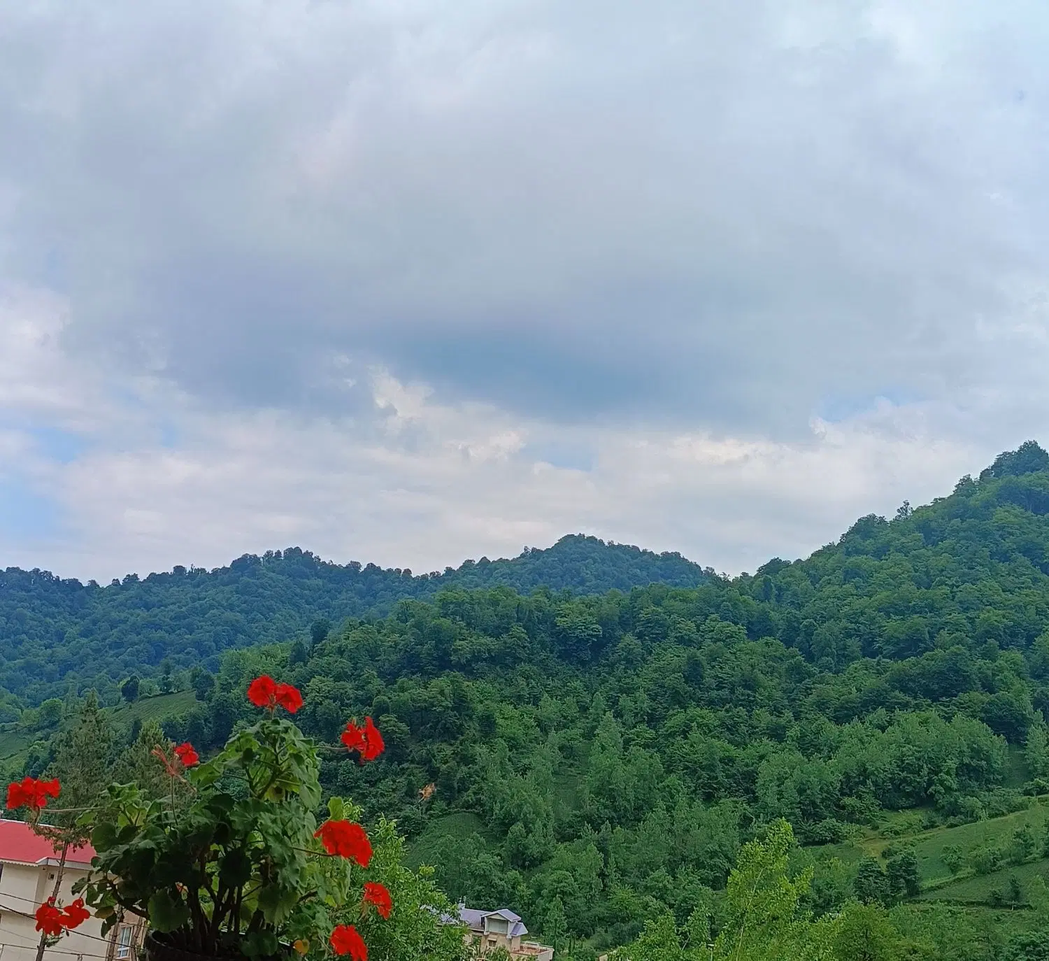 تصویر املاک 53965