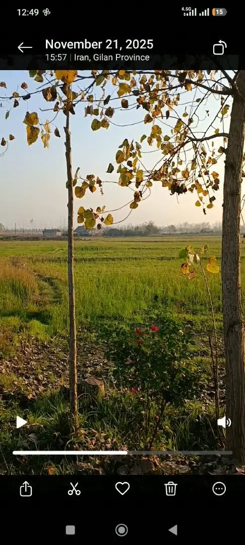 تصویر املاک 139594
