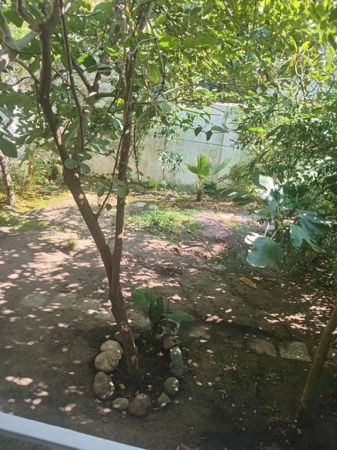 تصویر املاک 76823