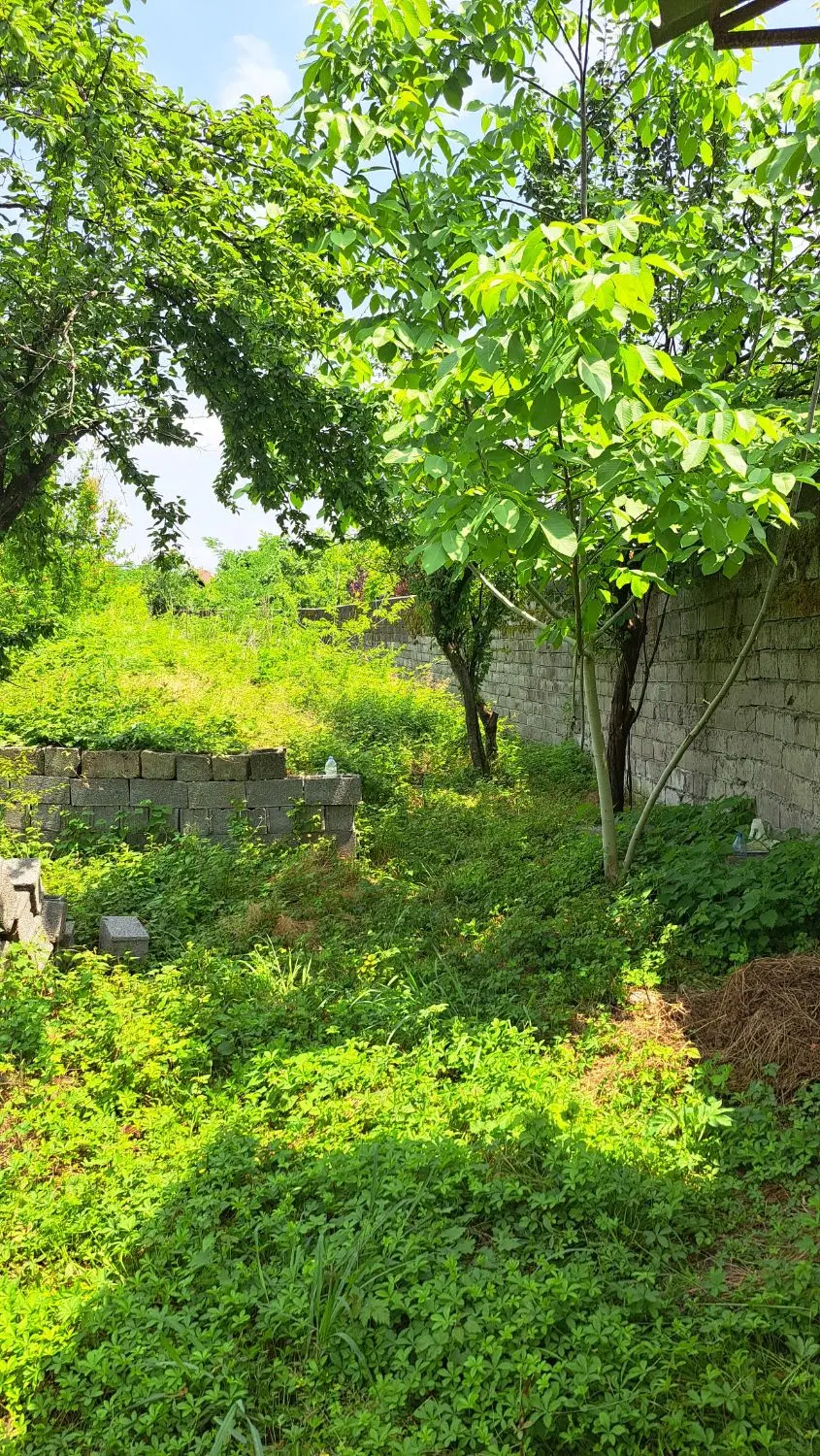 تصویر املاک 97314