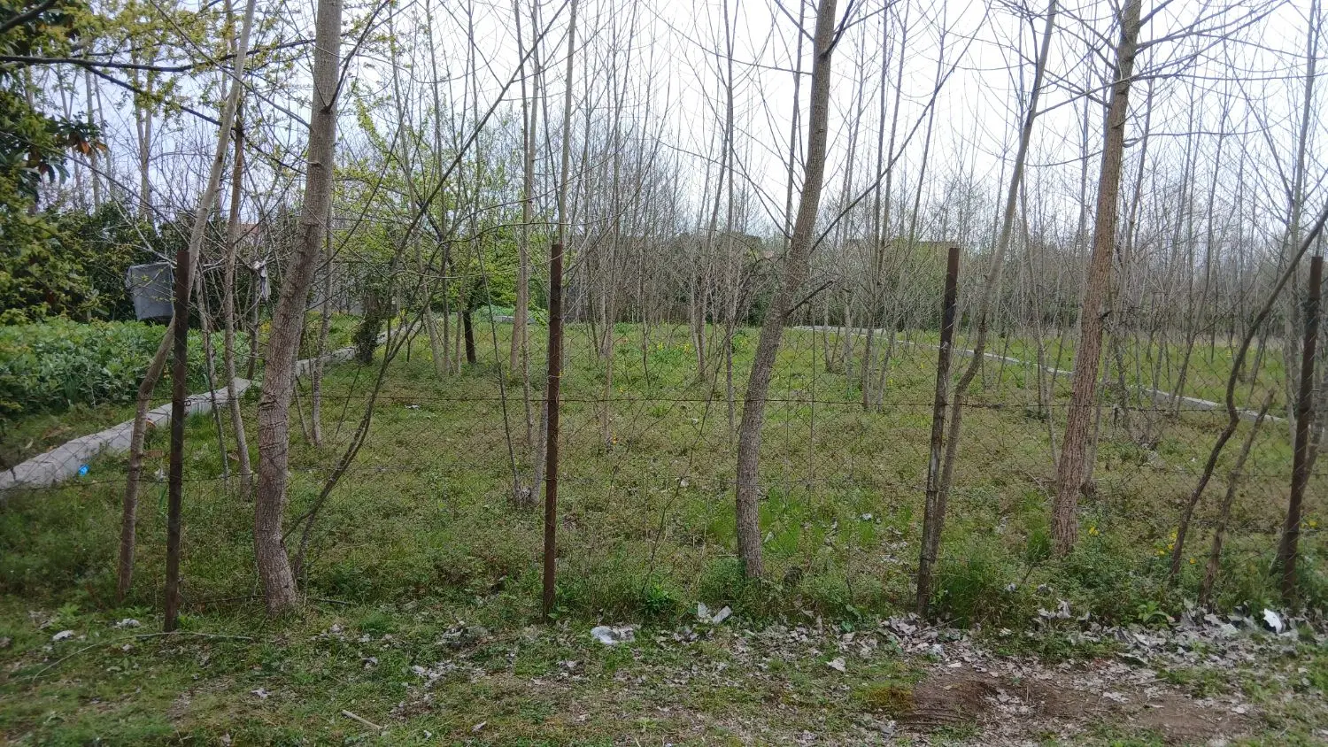 تصویر املاک 131380