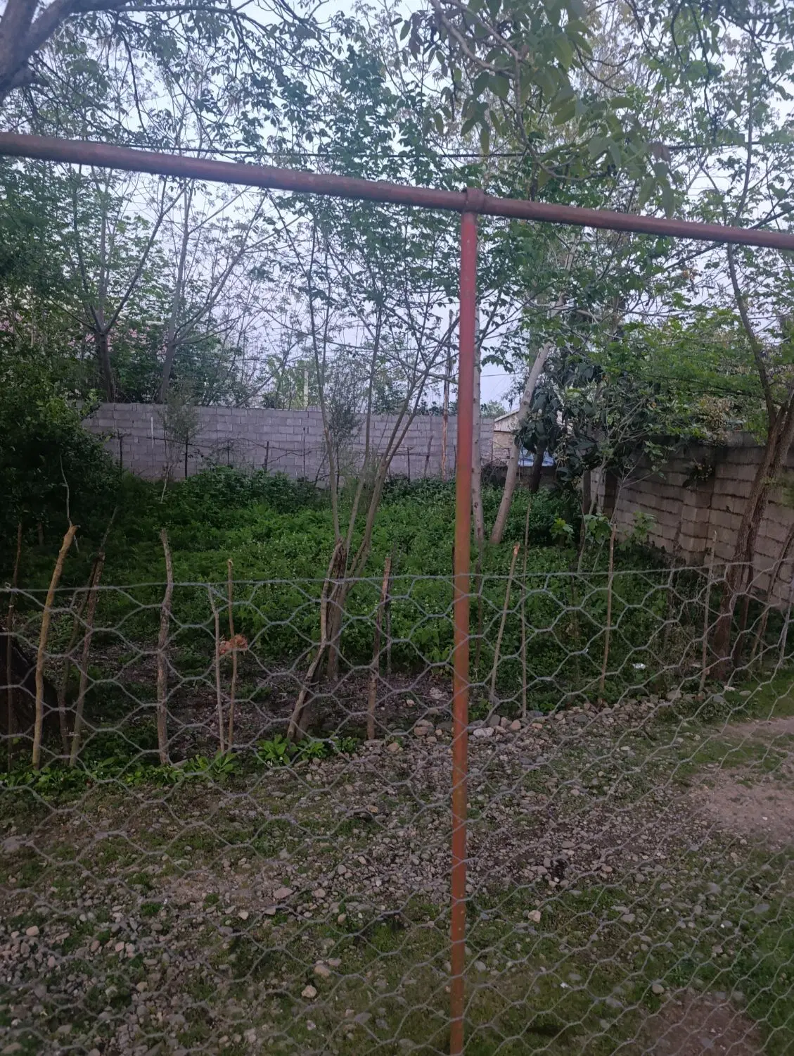 تصویر املاک 80978