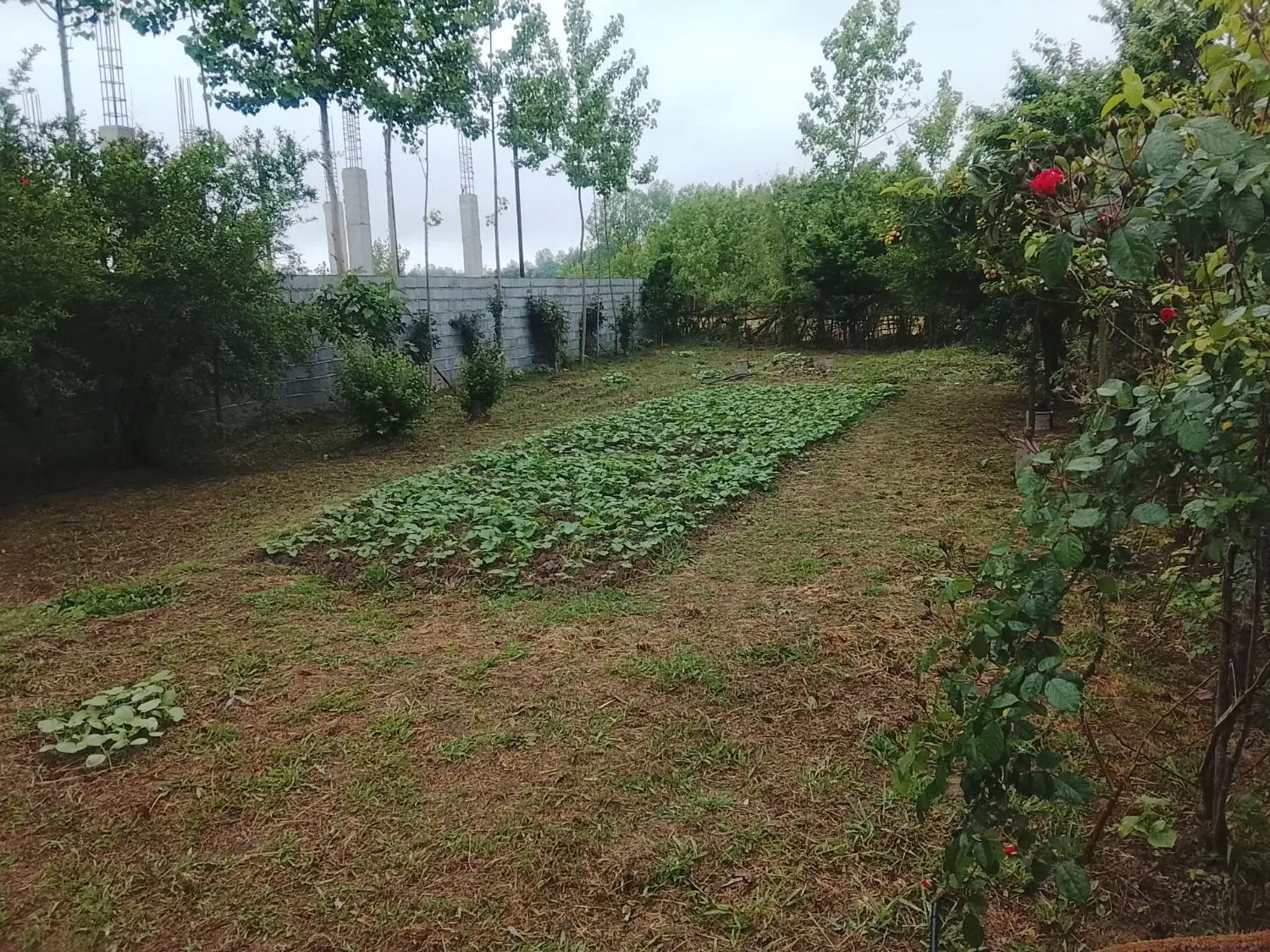 تصویر املاک 87837