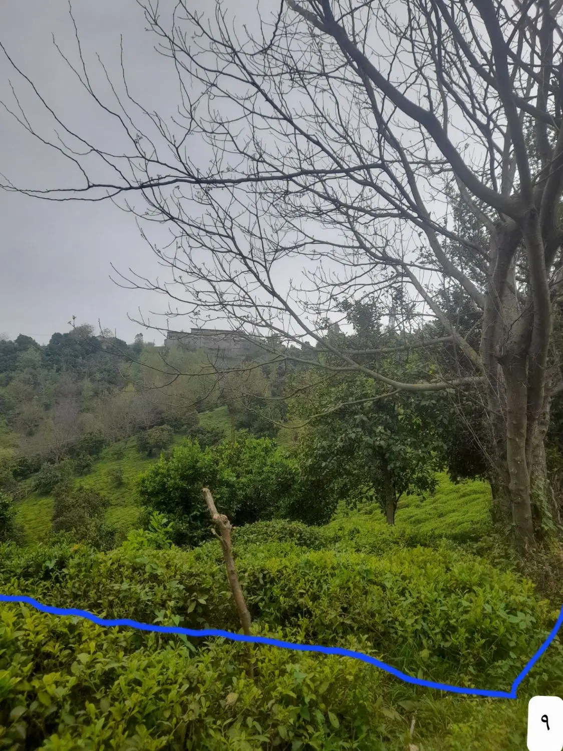 تصویر املاک 72799