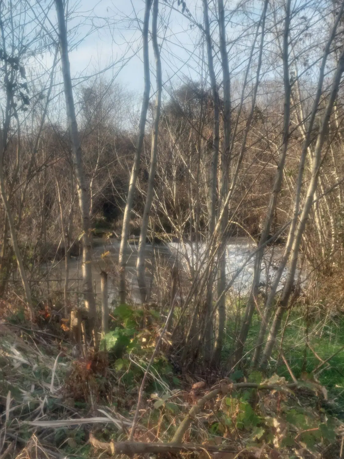 تصویر املاک 87419