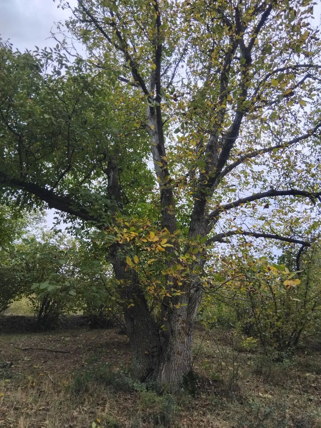 تصویر املاک 144272