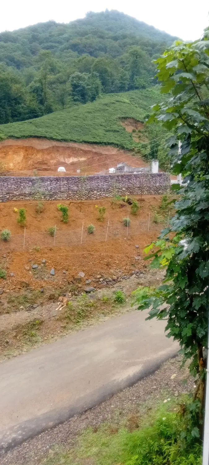تصویر املاک 123526