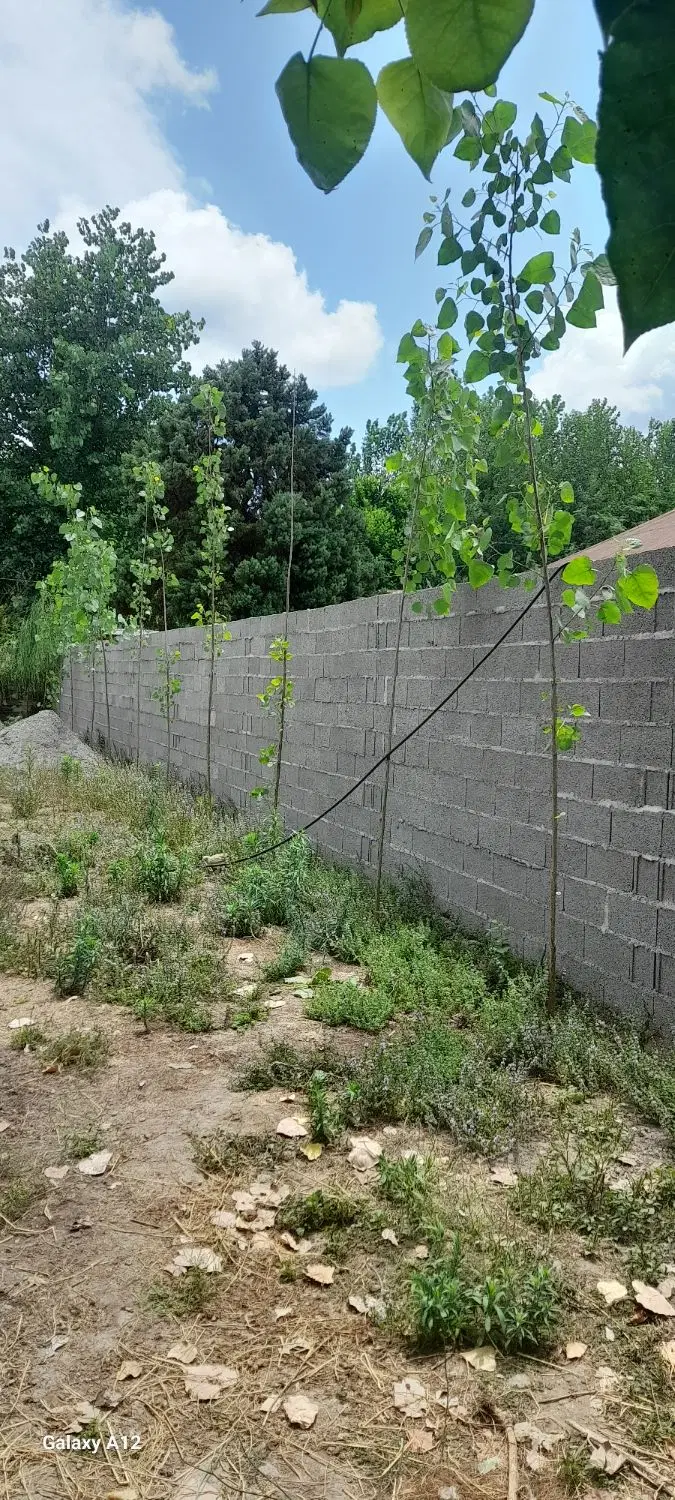 تصویر املاک 129925