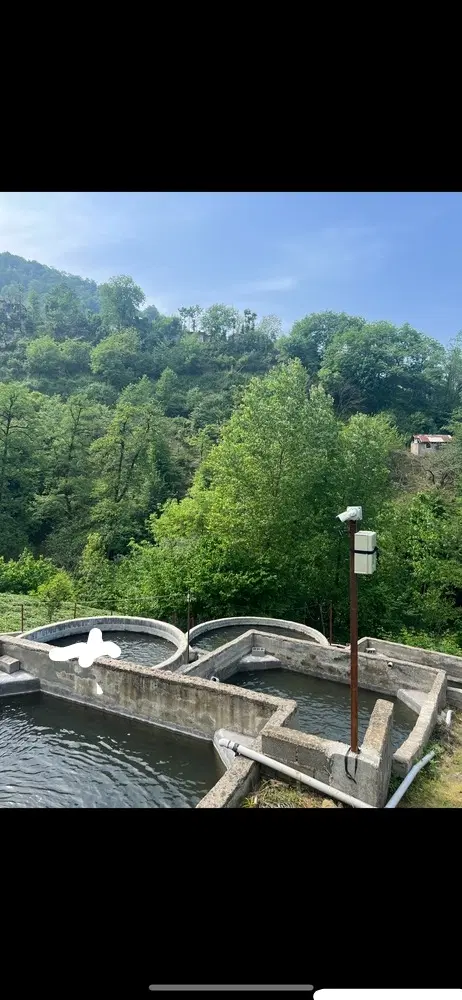 تصویر املاک 43090