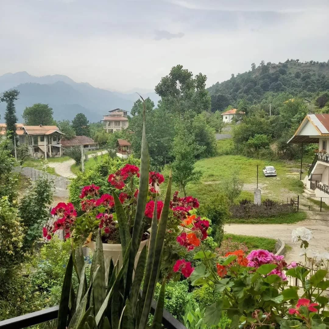تصویر املاک 118618