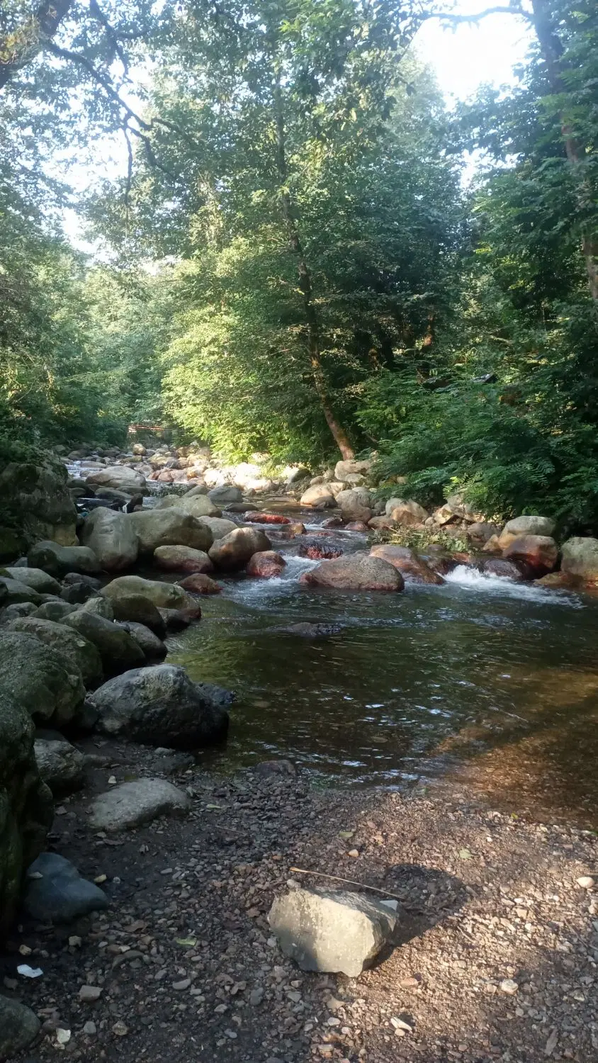 تصویر املاک 114257