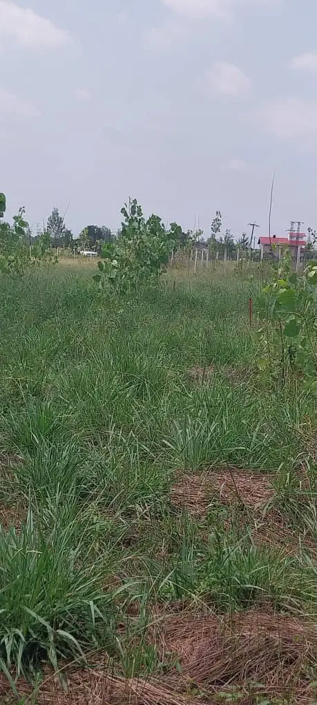 تصویر املاک 118328