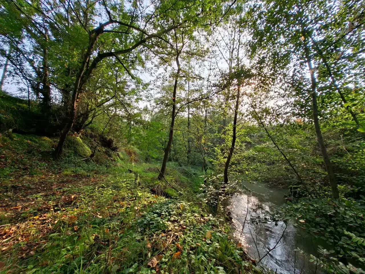 تصویر املاک 108622
